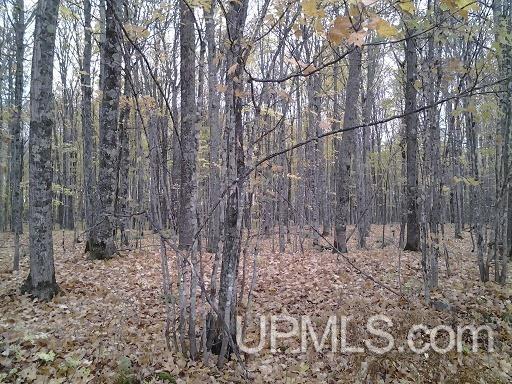 Tbd Whitefish Road Chatham, MI 49816 - Photo 22 of 30