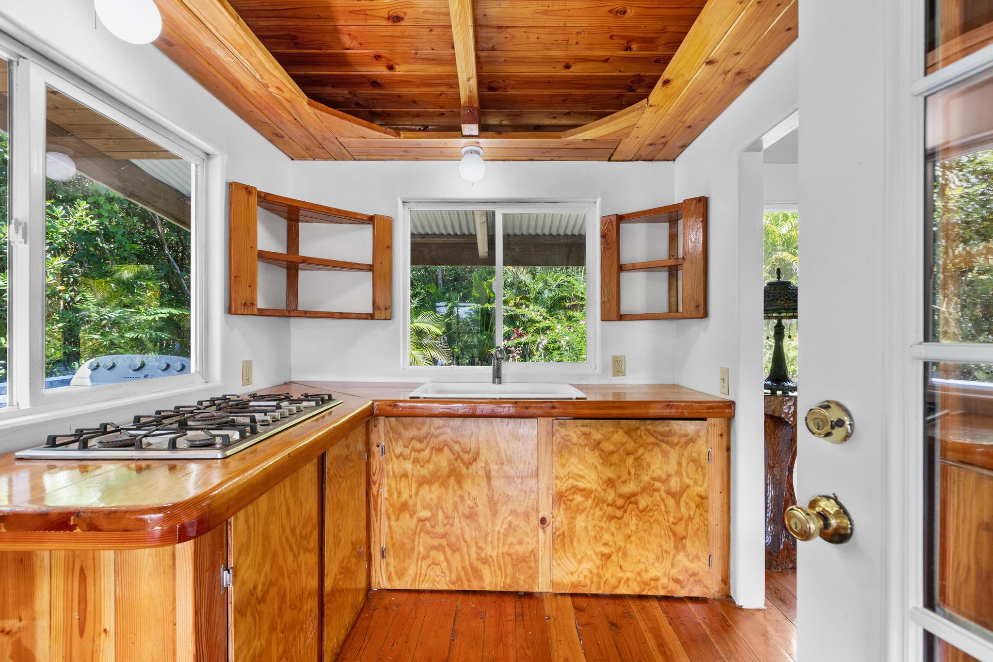 14-3734 Government Beach Road Pahoa, HI 96778 - Photo 7 of 26