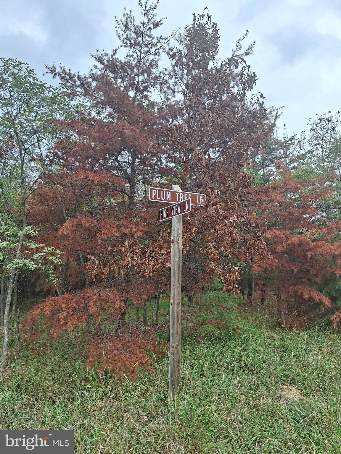 524 Plum Tree Lane Berkeley Springs, WV 25411 - Photo 3 of 38 cross street