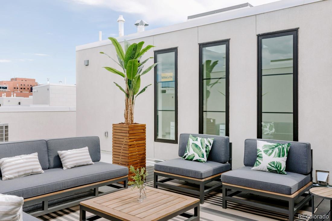 838 Ash Street, Unit 6 Denver, CO 80220 - Photo 30 of 40 a living room with furniture flowerpot and a potted plant
