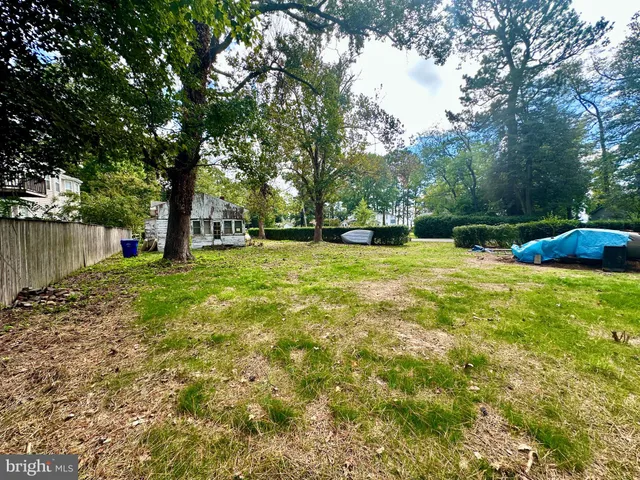 a view of a tree in a yard next to a yard