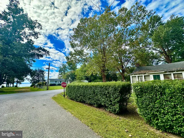 a view of a garden with plants and a fountain
