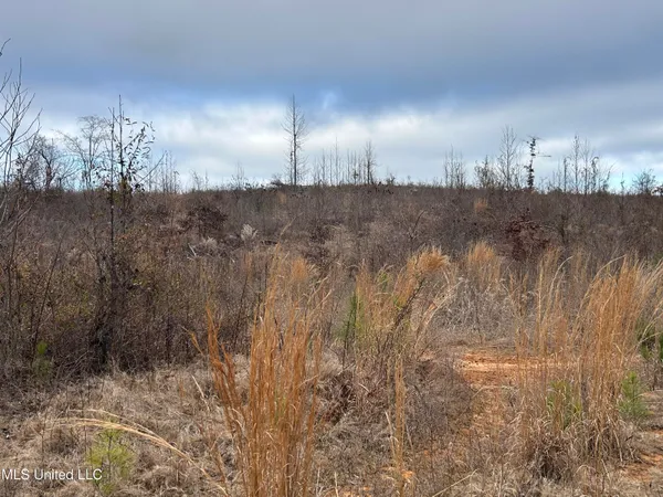 $95,000 | 1 County Road 4022, Sallis, MS 39160