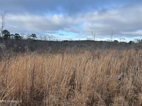 $95,000 | 1 County Road 4022, Sallis, MS 39160