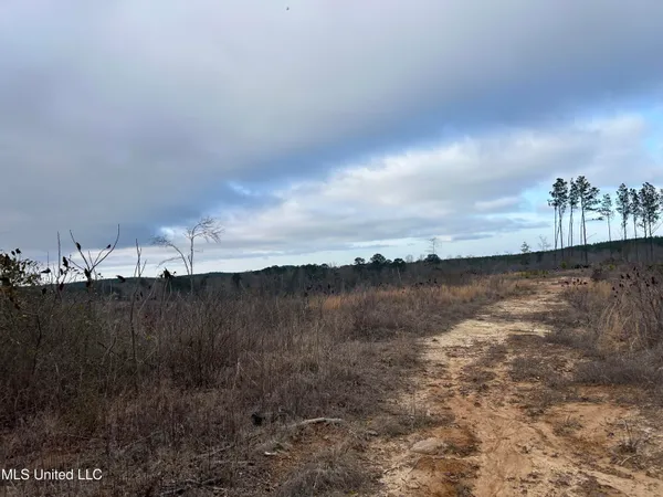 $95,000 | 1 County Road 4022, Sallis, MS 39160