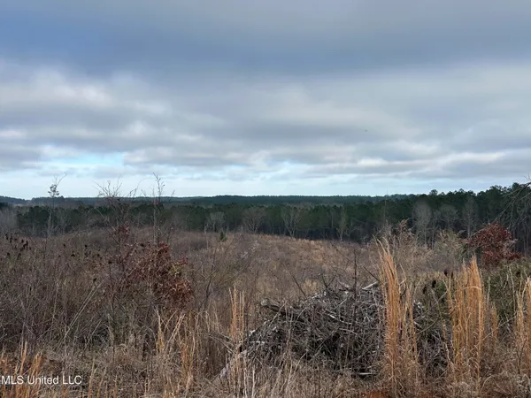 $95,000 | 1 County Road 4022, Sallis, MS 39160