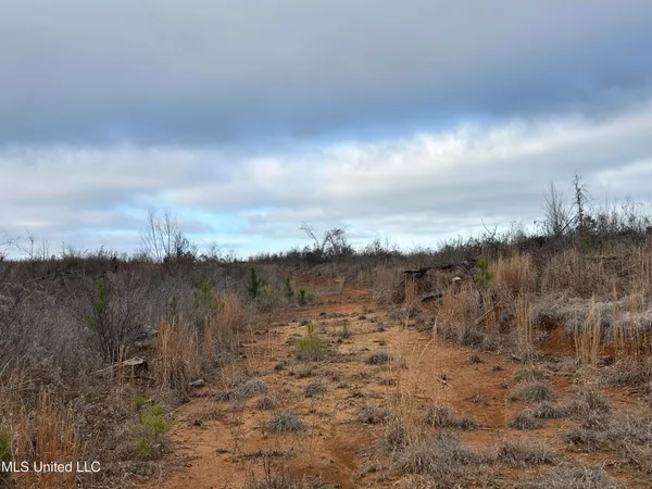 $95,000 | 1 County Road 4022, Sallis, MS 39160