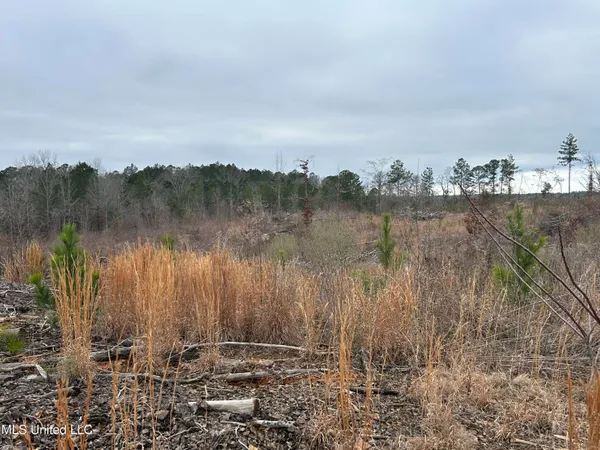 $95,000 | 1 County Road 4022, Sallis, MS 39160