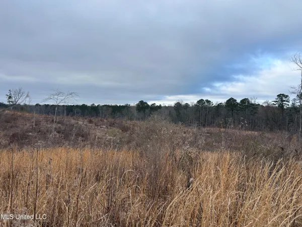 $95,000 | 1 County Road 4022, Sallis, MS 39160