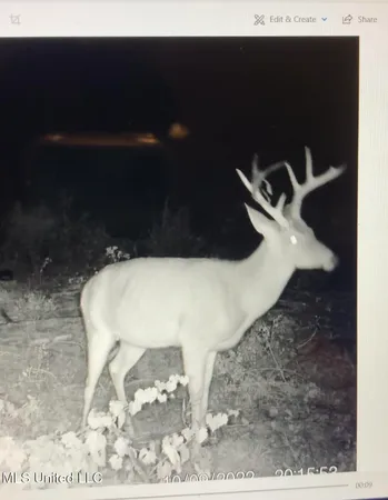 $95,000 | 1 County Road 4022, Sallis, MS 39160