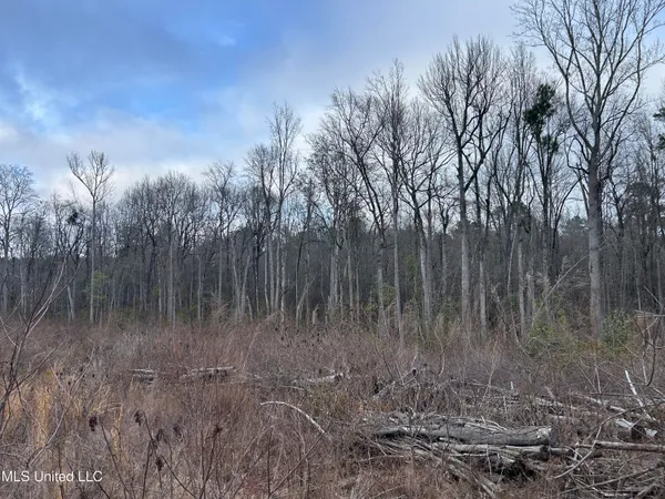 $95,000 | 1 County Road 4022, Sallis, MS 39160