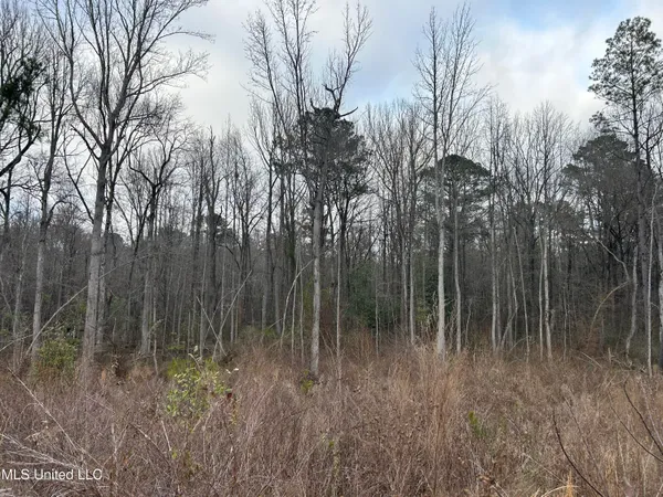 $95,000 | 1 County Road 4022, Sallis, MS 39160