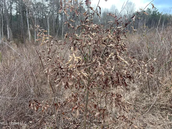 $95,000 | 1 County Road 4022, Sallis, MS 39160