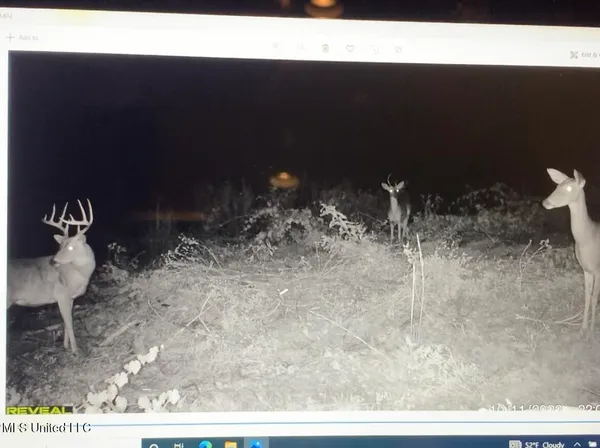 $95,000 | 1 County Road 4022, Sallis, MS 39160