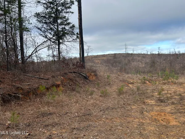 $95,000 | 1 County Road 4022, Sallis, MS 39160