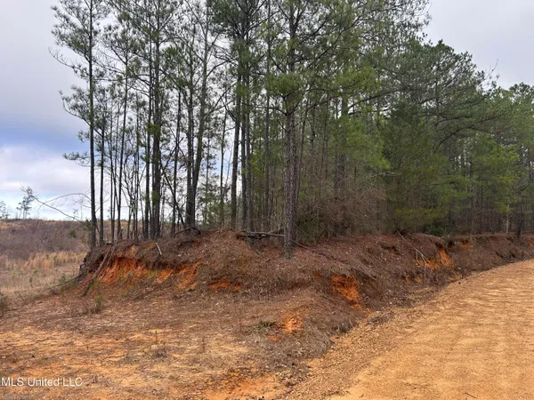 $95,000 | 1 County Road 4022, Sallis, MS 39160