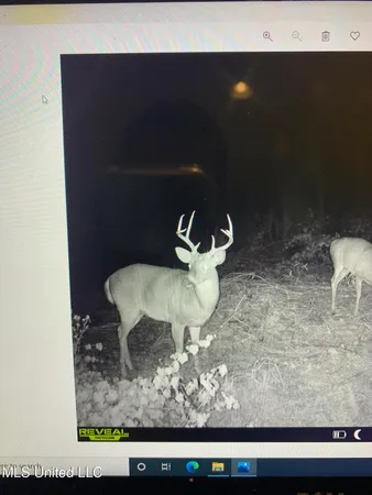 $95,000 | 1 County Road 4022, Sallis, MS 39160