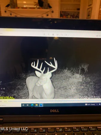 $95,000 | 1 County Road 4022, Sallis, MS 39160