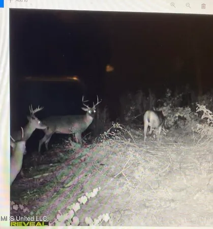 $95,000 | 1 County Road 4022, Sallis, MS 39160