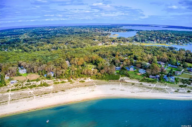 a view of a yard with an ocean