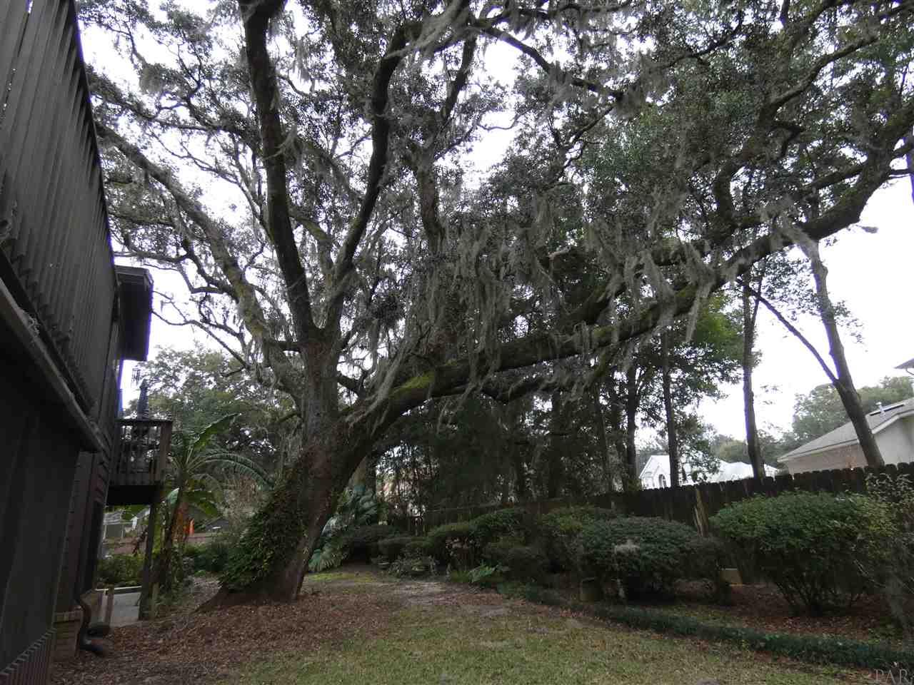 4831 East Olive Road, Unit 2D Pensacola, FL 32514 - Photo 27 of 29