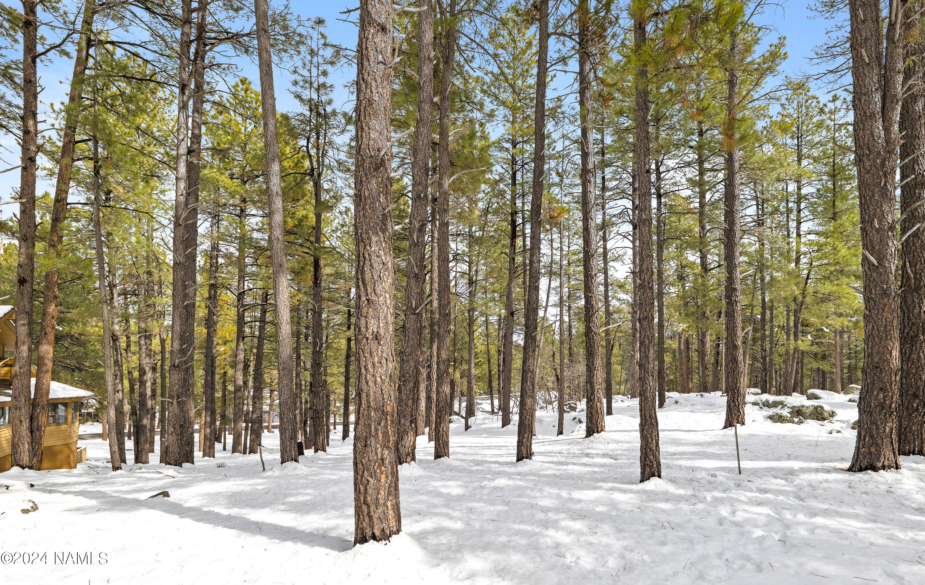 5817 Griffiths Spring Flagstaff, AZ 86005 - Photo 12 of 14 P1022946