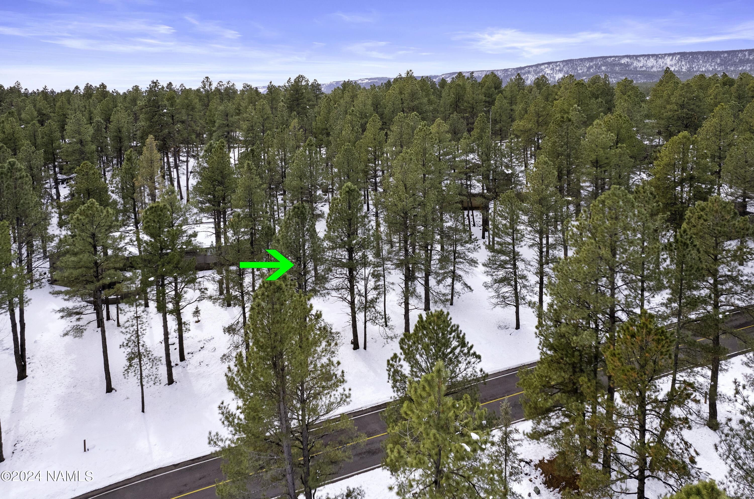 5817 Griffiths Spring Flagstaff, AZ 86005 - Photo 3 of 14 DJI_0033-Edit