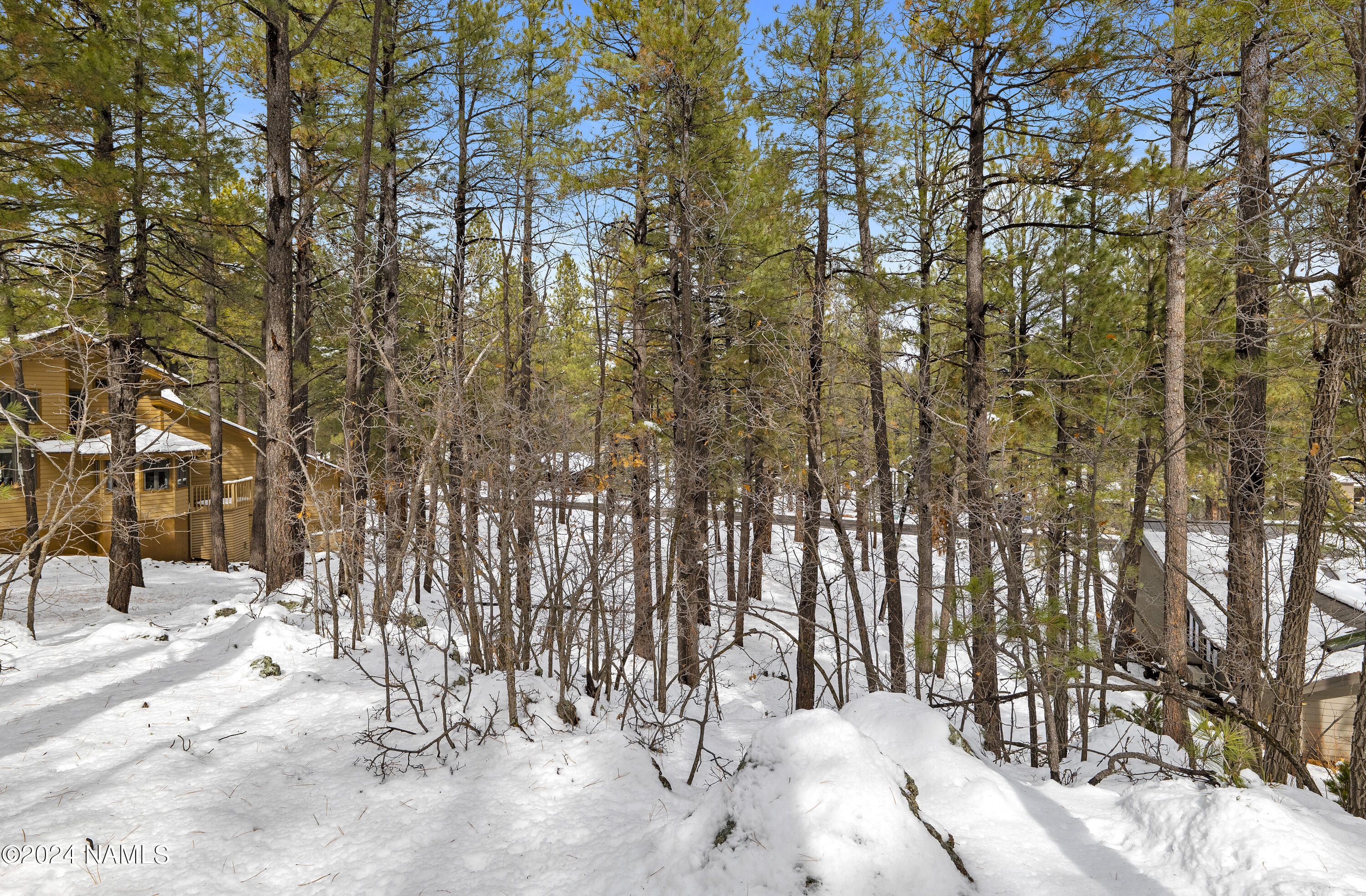 5817 Griffiths Spring Flagstaff, AZ 86005 - Photo 6 of 14 P1022895