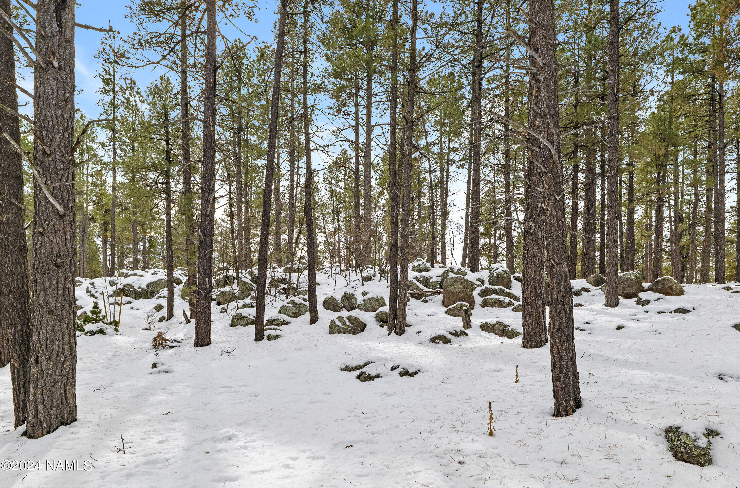 5817 Griffiths Spring Flagstaff, AZ 86005 - Photo 7 of 14 P1022906