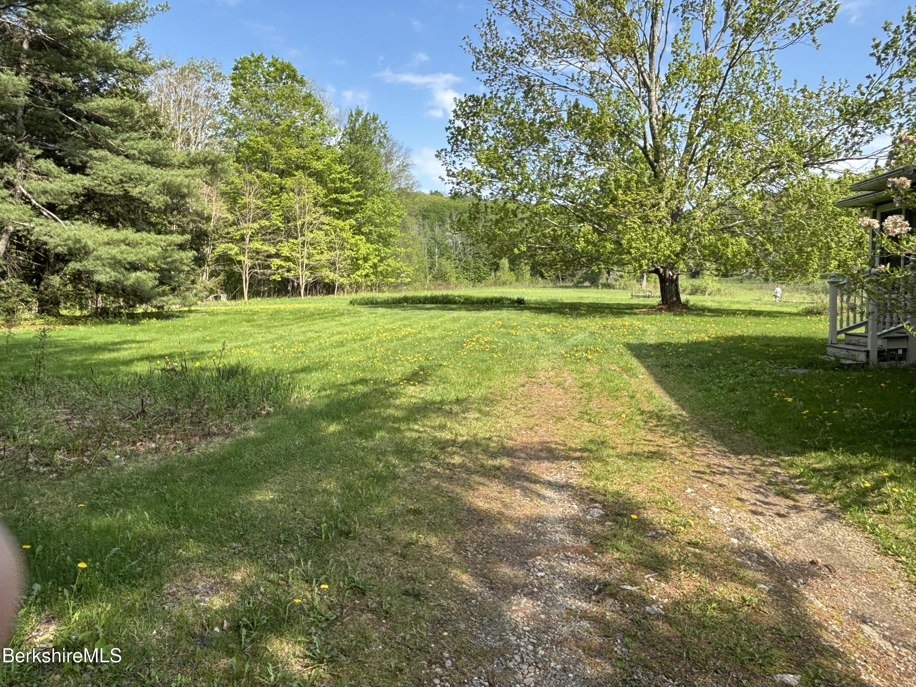 86 Miner Road Lanesborough, MA 01237 - Photo 11 of 44 a view of yard with green space
