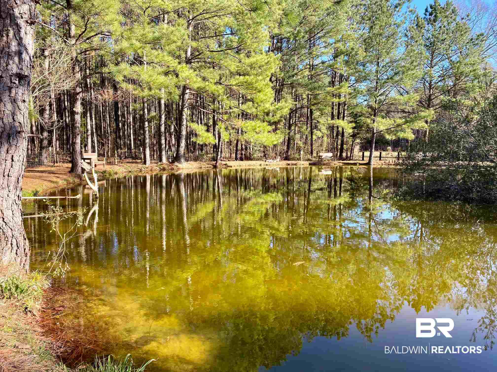 753 Travis Road Brewton, AL 36426 - Photo 2 of 23