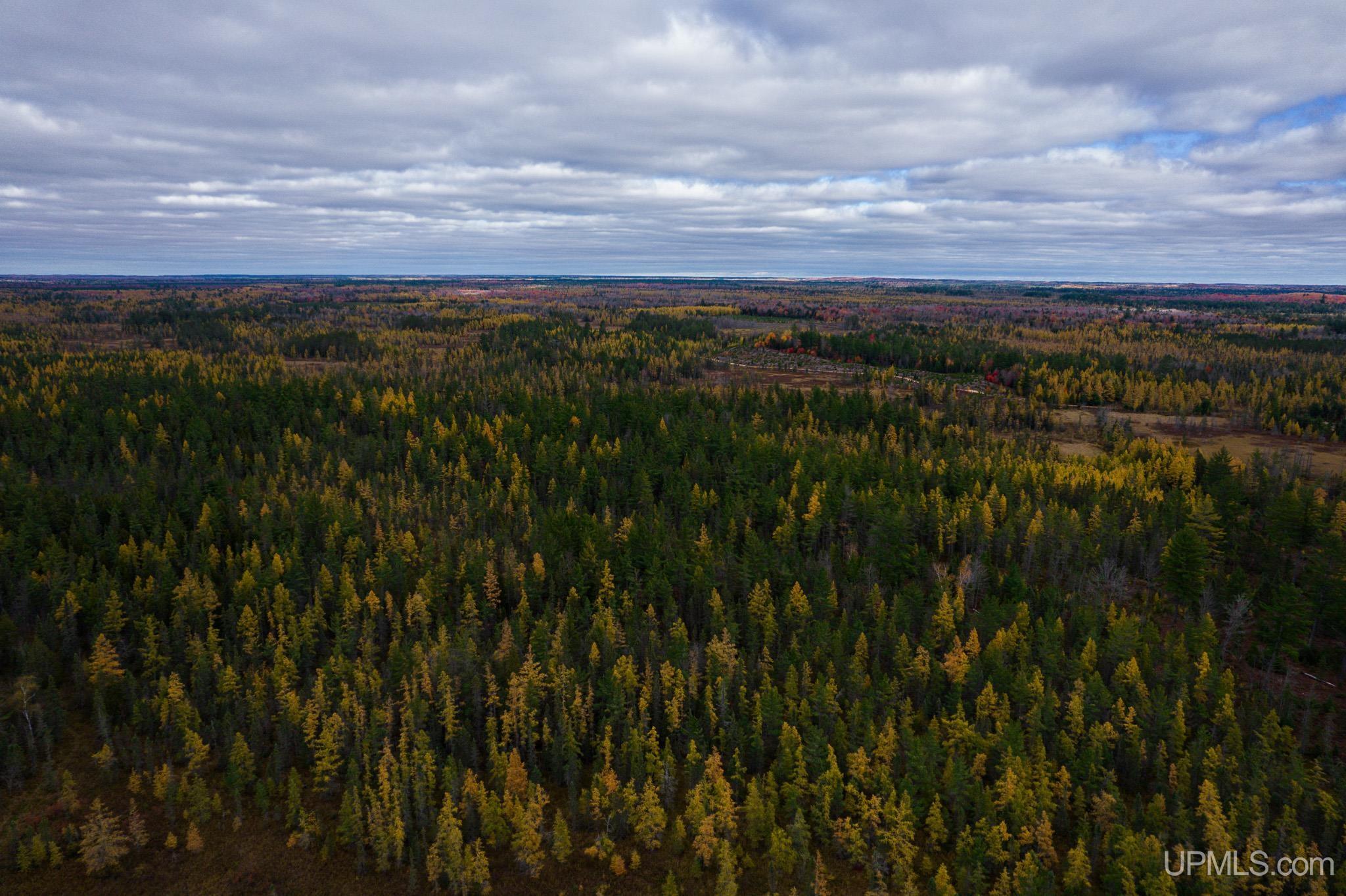 160 Acres Stella Lake Road Wetmore, MI 49895 - Photo 5 of 28