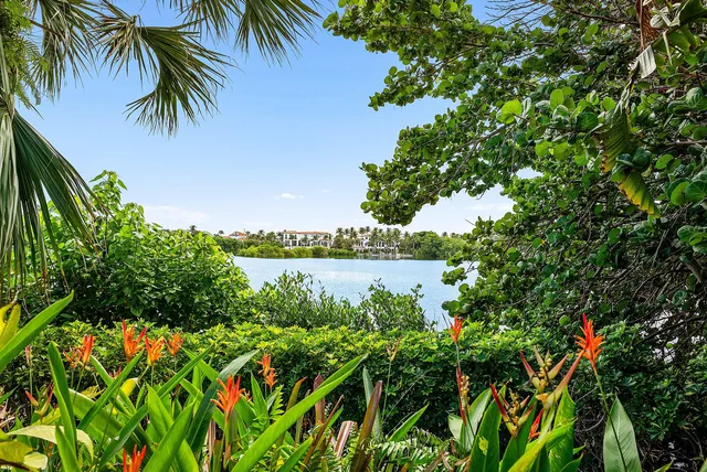 a wooden bridge near a lake