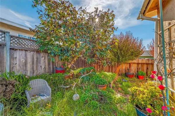 a view of flower garden with wooden fence