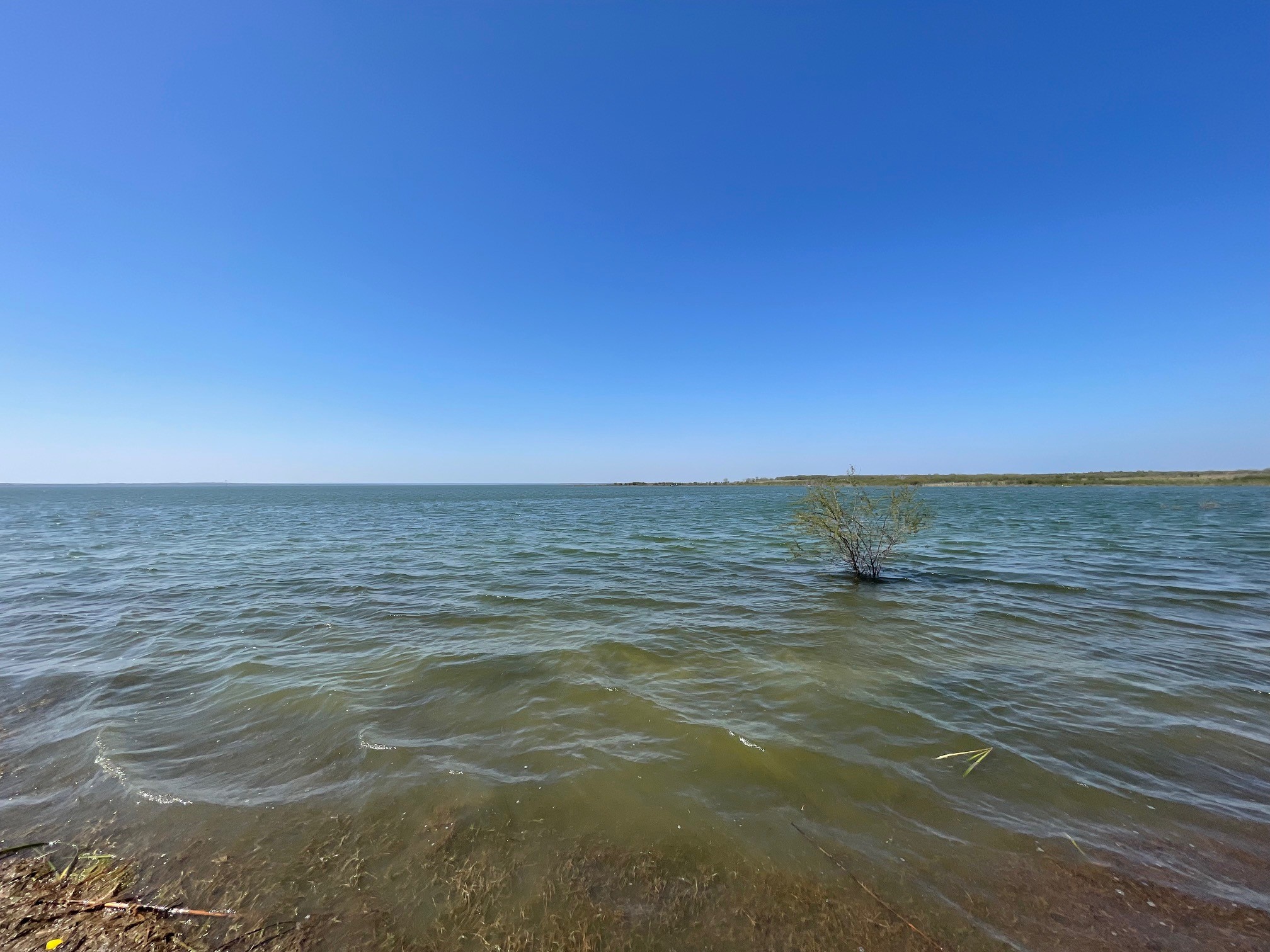 2991 Highway 83 Roma, TX 78584 - Photo 40 of 42 a view of an ocean