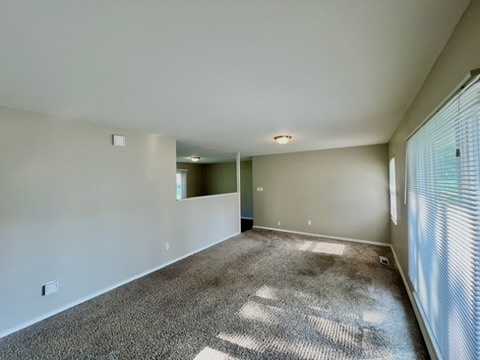 829 Princeton Avenue Matteson, IL 60443 - Photo 3 of 20 a view of empty room