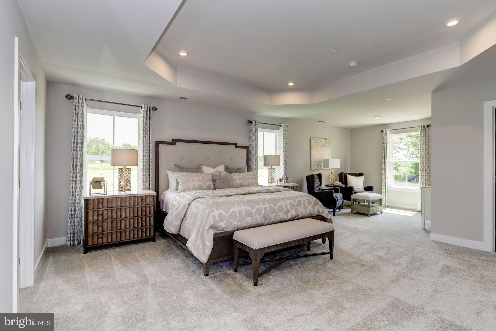 14416 Quarry View Road Brandywine, MD 20613 - Photo 10 of 16 MASTER BEDROOM W/TRAY CEILING