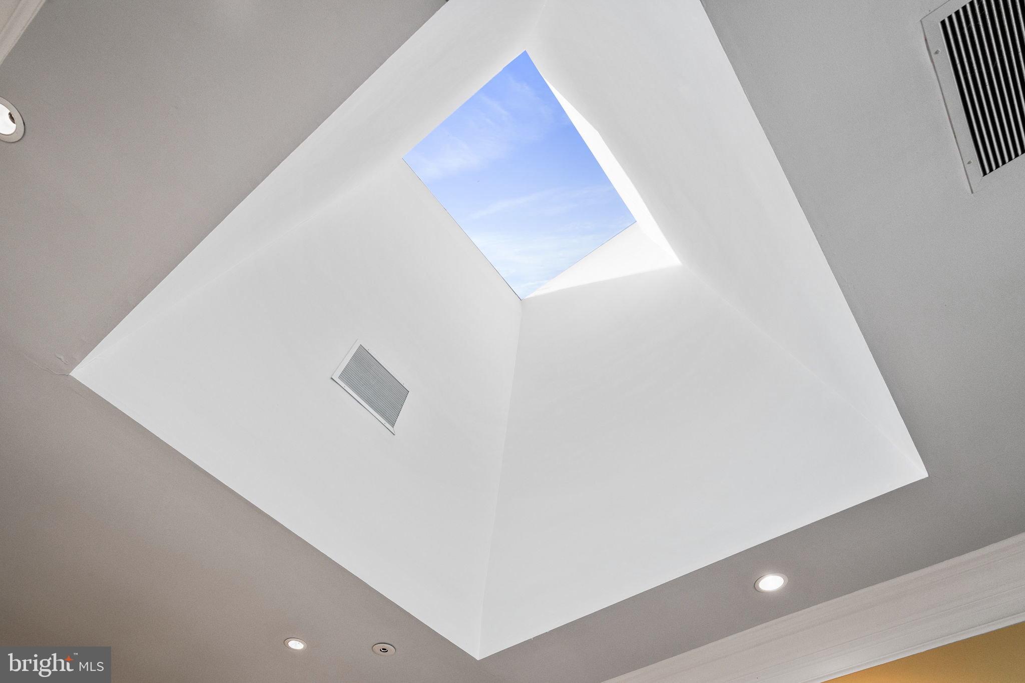 4811 W Street Northwest Washington, DC 20007 - Photo 17 of 46 Natural Light bathes the home's central corridor