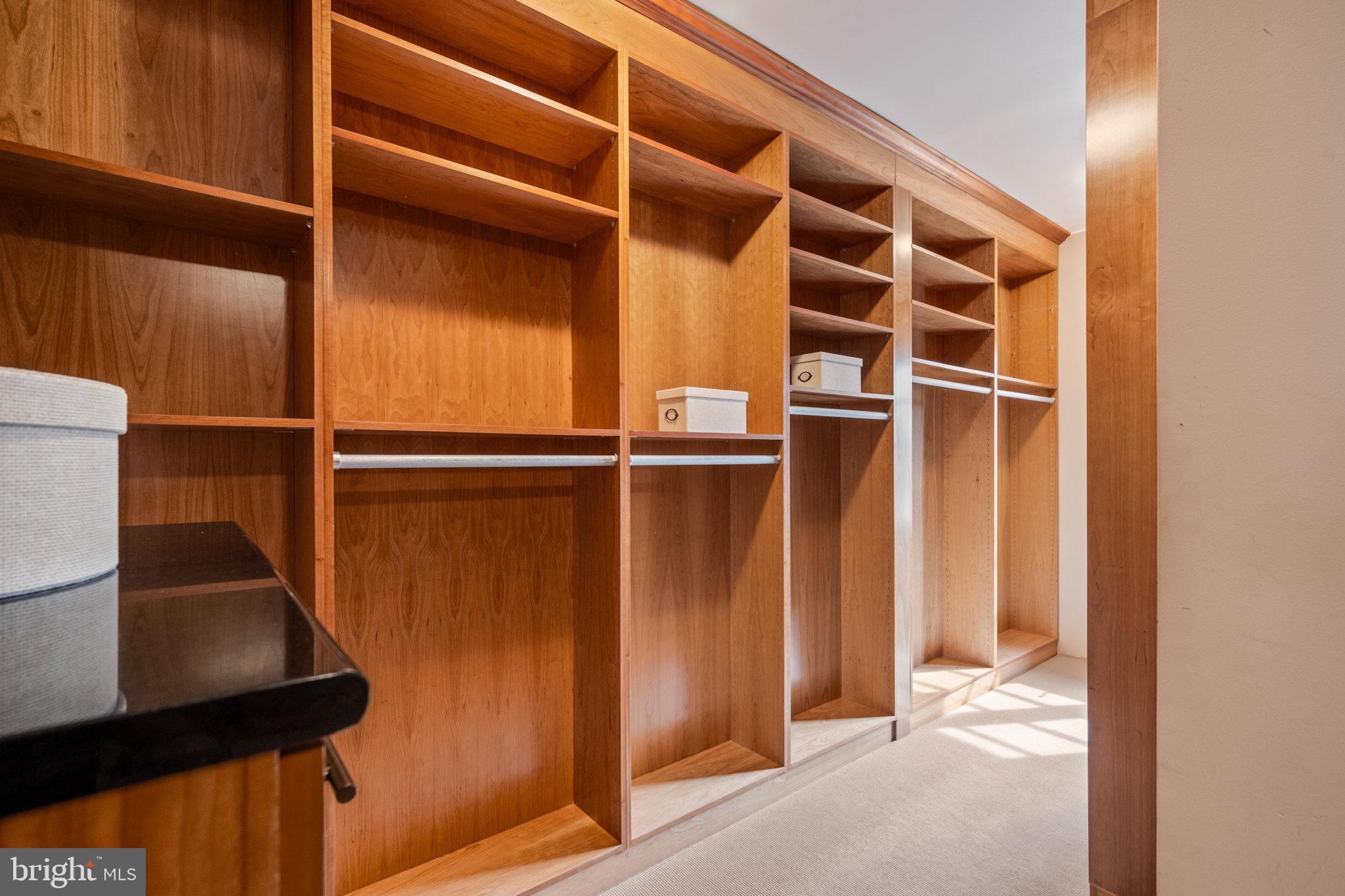 4811 W Street Northwest Washington, DC 20007 - Photo 24 of 46 Large Walk-In Closet