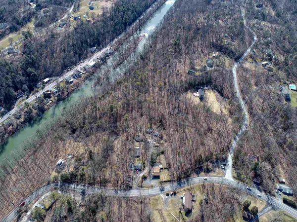 a view of a forest with lots of trees