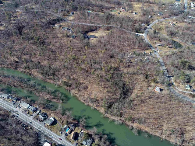 a view of a field with plants and trees