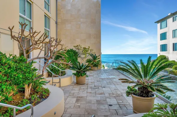 a view of a swimming pool with lawn chairs and potted plants