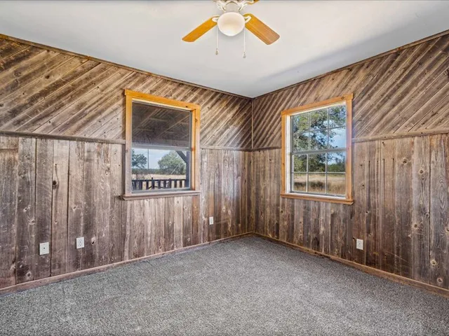 a view of a backyard with a large tree