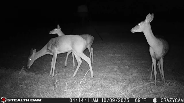 a black and white photo of a living room