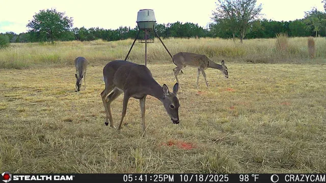 a view of a lake with outdoor space