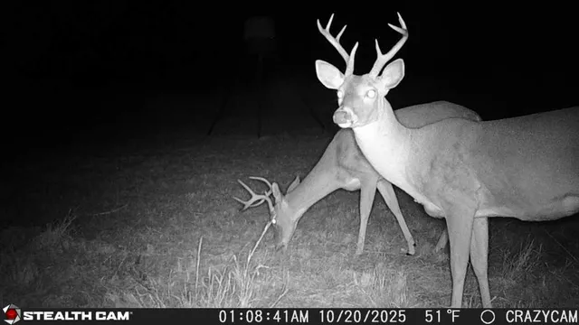 $1,100,000 | 23651 Wolfridge Road, Killeen, TX 76549