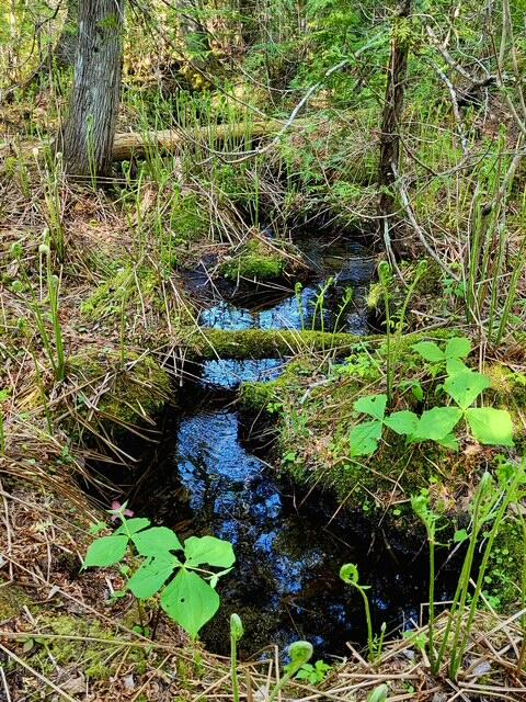 Lot 2 Morrison Brook, Unit ACRES Oakfield, ME 04763 - Photo 11 of 24 3803178749360598044