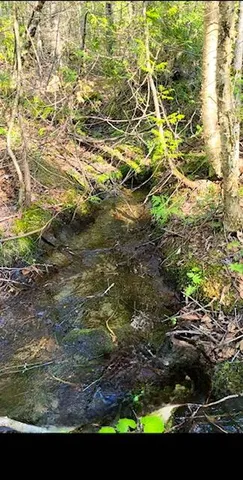 $59,900 | Lot 2 Morrison Brook, Unit ACRES, Oakfield, ME 04763