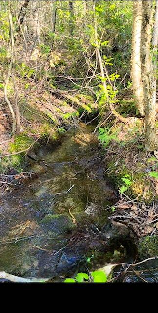 Lot 2 Morrison Brook, Unit ACRES Oakfield, ME 04763 - Photo 12 of 24 7795590054945376771