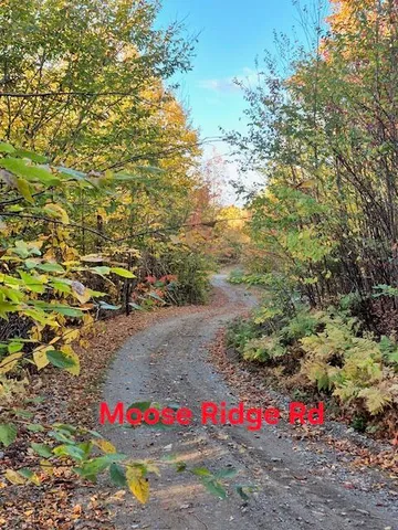 $59,900 | Lot 2 Morrison Brook, Unit ACRES, Oakfield, ME 04763